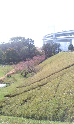 公園の中2