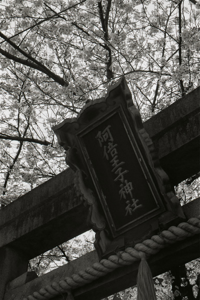 みのり市