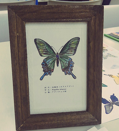 『鉱物と理科室のぬり絵』ルーチカ