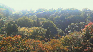 201011170025000.jpg
