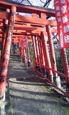 091220_1549~01.jpg