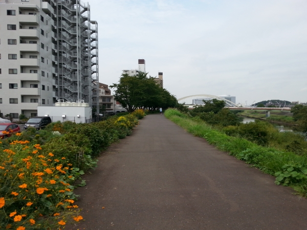 DSC_0066.JPG