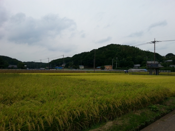 DSC_0069.JPG