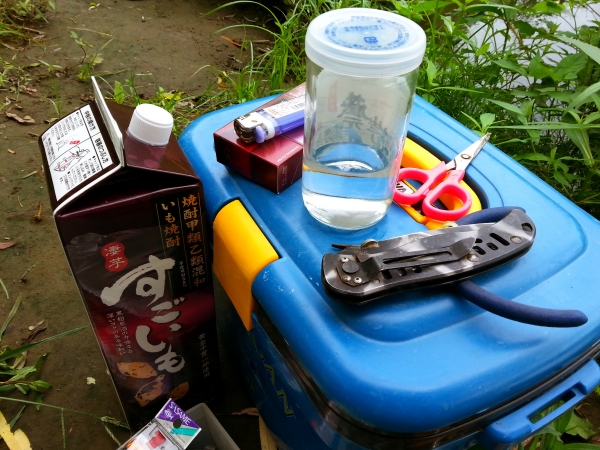 hdr_00920_0.jpg