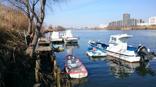 DSC_0119.JPG