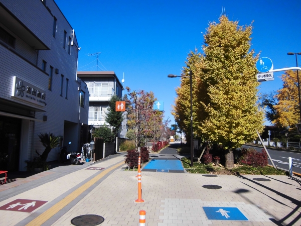 CIMG2206.JPG