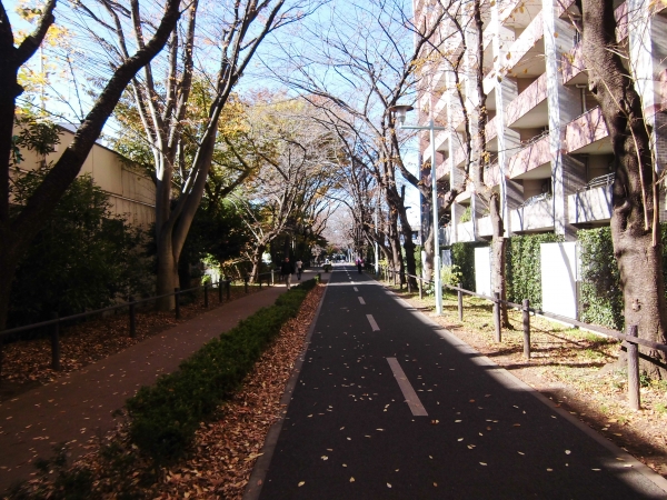 CIMG2216.JPG