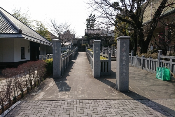 180224-105130_RR.jpg