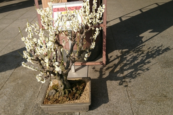 180224-144851_RR.jpg