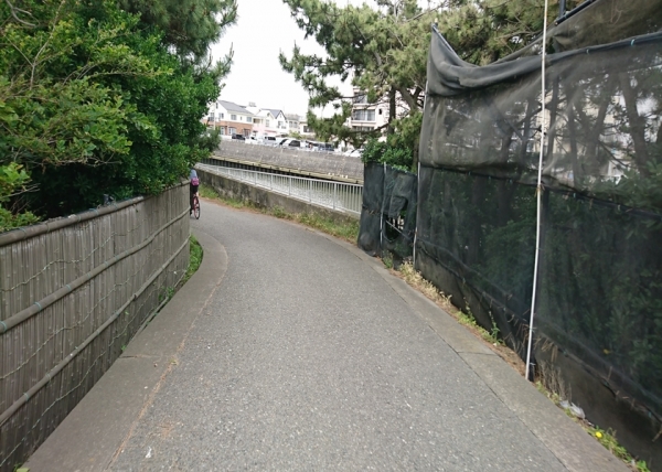 180519-124433_RR.jpg