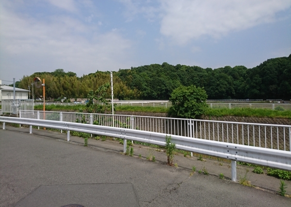 180519-133248_RR.jpg