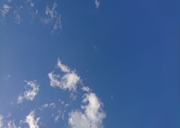 180519-173254_RR.jpg