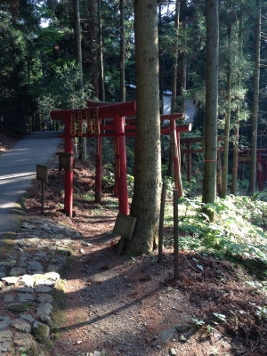 遍路道には、お稲荷さんの鳥居がいっぱいある所もありました。