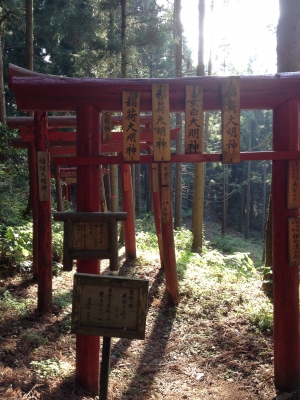 遍路道には、お稲荷さんの鳥居がいっぱいある所もありました。