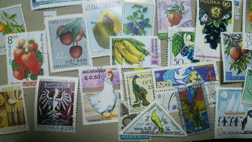 2011030700310000.jpg