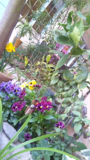 110416_1645~010001.jpg