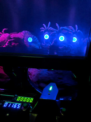 34
