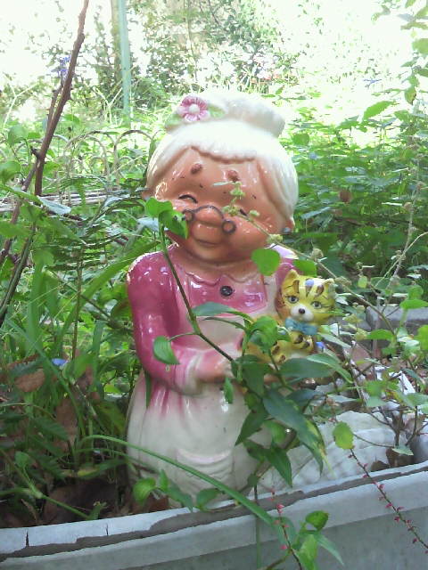2011101613000000.jpg