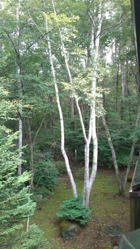 mini_110827_07570001.jpg