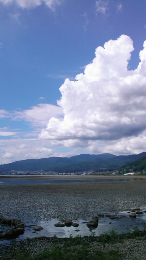 mini_110827_1335.jpg