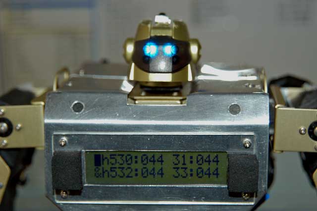 RZ-1 PEEK表示