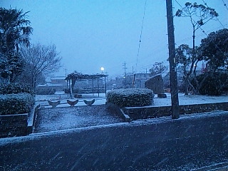 100206_064759.jpg