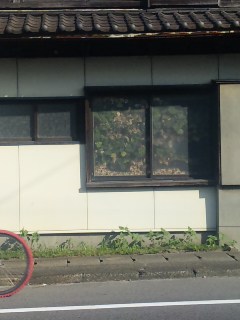110715_0725581.jpg
