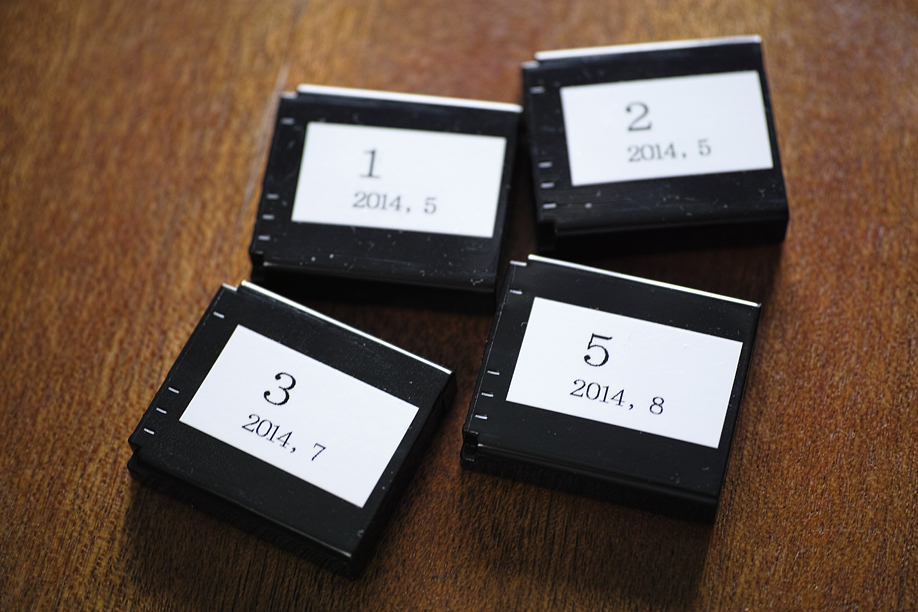 SIGMA DP3 Merrillの電池