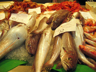 魚