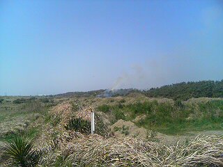 20070523_367909.jpg