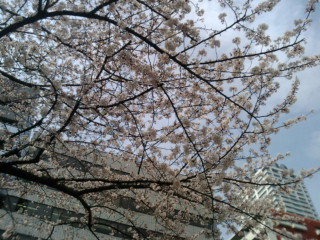20090404101346.jpg