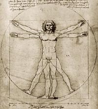 vitruvian man