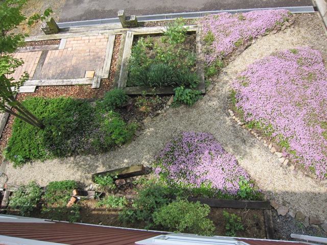 クリーピングタイムの海 愉しきgarden Life