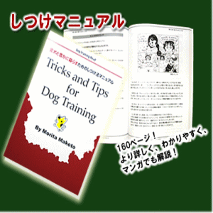 森田誠の愛犬と豊かに暮らすためのしつけ法DVD3枚セット 噛む 吠えるトイレ