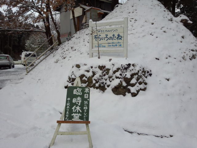 DSC_0281.jpg