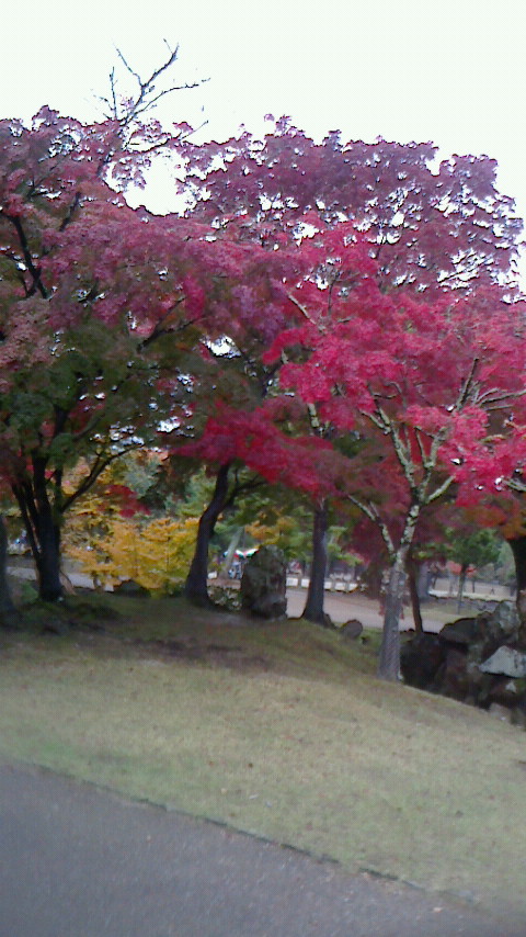 2016111510300000.jpg