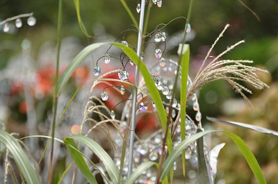 DSC_0676s.jpg