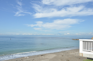 DSC_0216.JPG