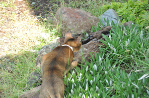 DSC_0220.JPG