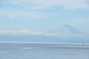 DSC_0223.JPG