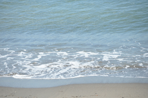 DSC_0226.JPG