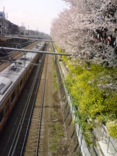 100406_1224~02.jpg