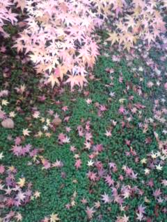 101122_1244~01.jpg