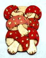 wbkinoko