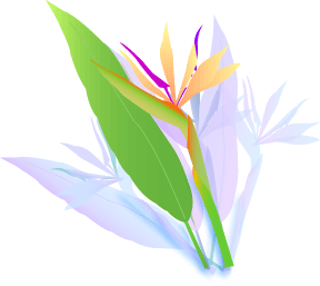 白い背景用です