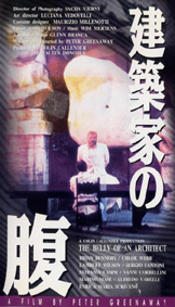 建築家の腹