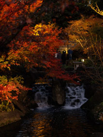 紅葉