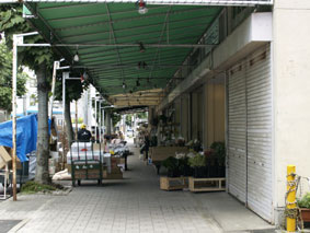 花市場2