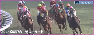 デスペラード 京都記念