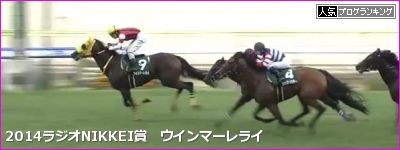 ラジオNIKKEI賞 ウインマーレライ